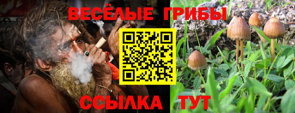 Галлюциногенные грибы Magic Shrooms Сыктывкар